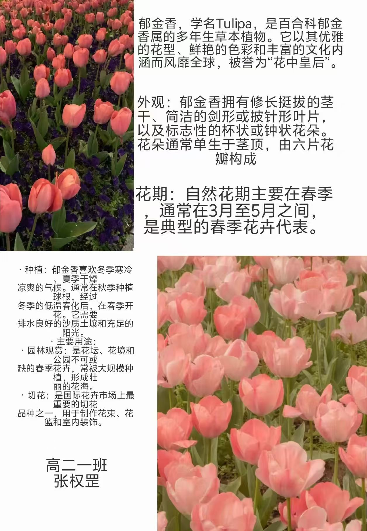 图片30.png